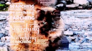 6 days until I open my …