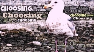 5 days until I open my spiffy …