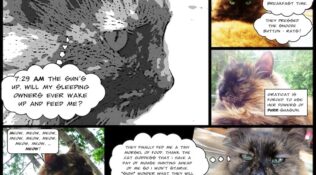 Day 2: Introducing “Graticat”